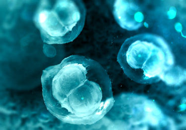【毛活プログラム：外用療法】ヒト脂肪幹細胞培養液は根本ケアを可能にした次世代ヘアケア